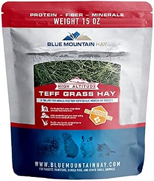 Blue Mountain Hay High-Altitude Teff Grass Hay Pet Food 15 oz, Fresh Pet Nutrition with Low NSC High Fiber for Digestive Health, Dental Support, Natural Foraging, Additive & Preservative-Free
