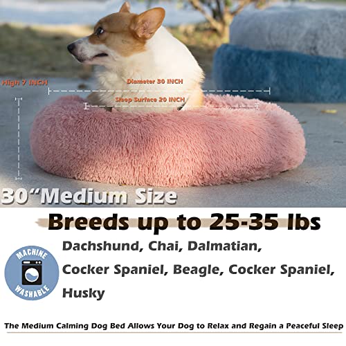 Dog Beds For Medium Dogs Washable 30 Inches Pink Dog Bean Bag Bed Girl Dog Beds For Medium Dogs Fits Up To 45 Lbs Pets Beds For Medium Dog. #TOP1