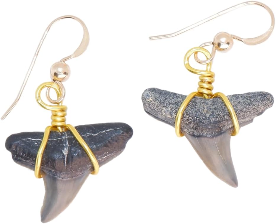 SHRKco - REAL Tooth Dangle Shark Earrings - Gold & Sterling Silver Earrings - Fossilized Sharks Teeth Jewelry - Ethical Fossils Found in Florida - Handmade Earrings for Men & Women