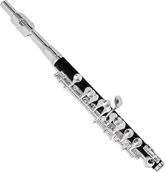 【KEEFE キィ銀製※本体のみ】KEEFE キーフピッコロ 610oxIv9xOL._AC_UF350,