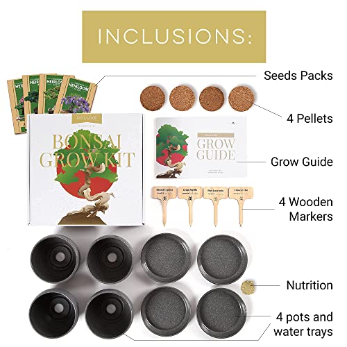 Bonsai-Tree-Kit--Plant-4-Species-of-Bonsai-Tree-w-Our-All-in-One-Plant-Kit-Bonsai-Pots-Peat-Pellets-Including-a-Bonus-in-Depth-Grow-Guide-by-Home-Grown-Great-Gardening-Gifts-for-Women-and-Men