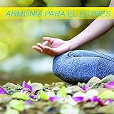  Las Lunas y Las Estrellas