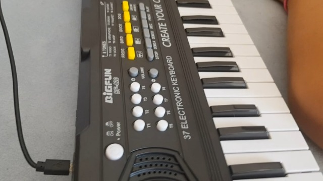 Pianola Elettronica Per Bambini Con 37 Tasti E Microfono - Tastiera Musicale Portatile Multifunzione Con 8 Toni, 8 Ritmi E Suoni Animali - Giocattolo Educativo 3+ Anni - 2