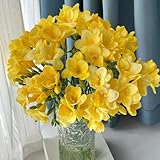 3 piezas comprar bulbos de fresia - fresia - flores planta flores de bulbo cama elevada balcón regalos sostenibles flores bulbos resistentes perennes bulbo de flor cubierta del suelo