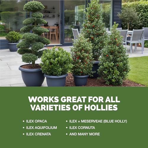 Holly Fertilizer alimento líquido para plantas 32 oz miniatura 5