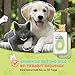 GJYC PET Avocado Tierpfotenpflege Butter 33g für Katzen & Hunde - Natürliche Feuchtigkeitspflege, Tiefe Pflege, Tierpfotenpflege Creme, Anti-Trockenheit, Weicht & Schützt Pfotenplättchen