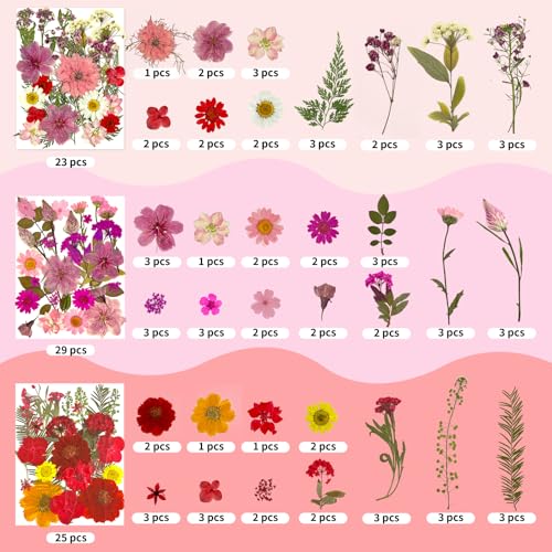Image of 303Pcs Dried Pressed Flowers for Crafts, Dried Pressed Flowers for Resin, Natural Dried Flowers Kit with 80pcs Butterfly Stickers for DIY Resin Molds, Candles, Photo Frames, Jewelry Making, Art Crafts