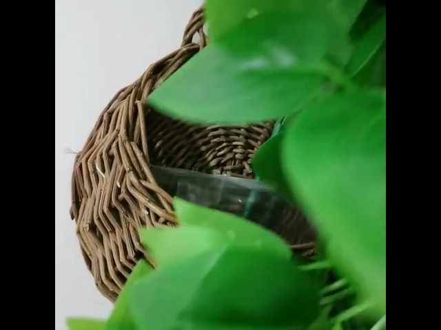 Amazon.com: BLEUM CADE Fake Hanging Plants, 8pcs Artificial