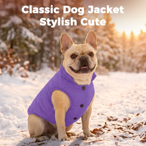 Image of JoyDaog Fleece Lined Dog Jacket for Small Dogs,Winter Dog Coat,Purple S | Warm Windproof Puppy Vest for Cold Weather,Soft Cozy Doggie Clothes for Smaller Dog Breeds,Outdoor Daily Walk,Snow Play