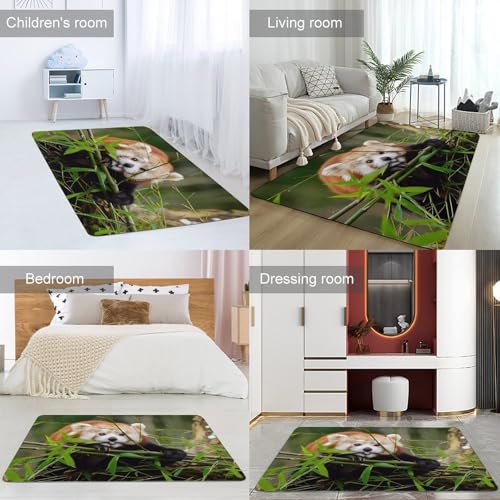 Tapis de sol doux absorbant et antidérapant velours de corail salon chambre