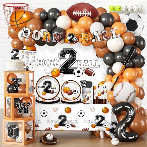291 PCS Born 2 Ball Birthday Decorations All-in-One Party Pack for 25 Guests Includes Backdrop Balloon Plates and Napkins Easy Setup for 2nd Birthday Decorations for Boys