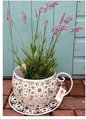 2 x Modern Shabby Vintage Planter Chic Tea Plant Pot Garden Home Office Cup