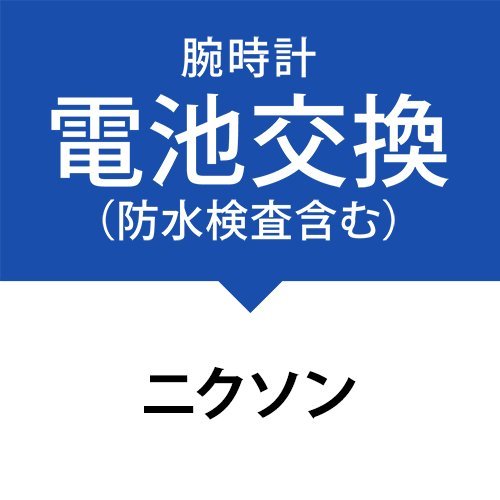 drT[rX(hApbLAxg܂ށjmjN\nNixon