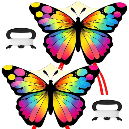 2PCS Schmetterling Drachen Butterfly Kites,Kinder-Drachen,Einleiner Flugdrachen für Kinder ab 3 und Erwachsene,110 x72cm Einleiner-Drachen mit 100m Drachenschnur und Langen Buntem Schwänzen