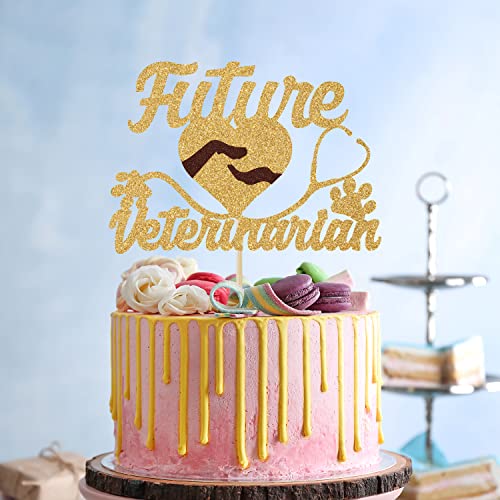 Future Veterinarian Cake Topper, Congrats Vet, Future Vet, Medical School Grad Decorations, Congrats Grad - image 4