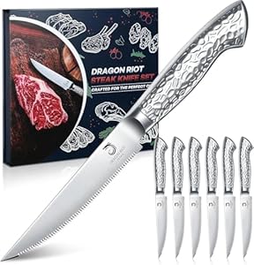 DRAGON RIOT Steakmesser Set 6-teiliges Steakbesteck mit Sägezahnklingen aus japanischem Edelstahl, spülmaschinengeeignet inklusive Aufbewahrungsbox