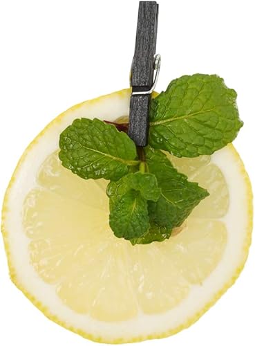 Restaurantware Pinzas negras de 1.2 pulgadas, 500 mini pinzas para la ropa, desechables, resistentes, clips de madera de bambú negro, grado disponible en Yaxa Colombia