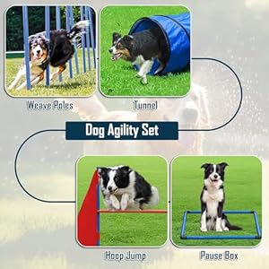 Dog Agility Course Backyard Set, Dog Agility Equipment, Portable Agility Training Equipment for Dogs, Build Dog Obstacle Course Backyard with 2 Tunnels, 3 Jumps, 6 Weave Poles & More, Dog Training Kit Dog Agility Course Backyard Set Dog Agility Equipment Portable Agility Training Equipment for Dogs Build Dog Obstacle Course Backyard with 2 Tunnels 3 Jumps 6 Weave Poles More Dog Training Kit