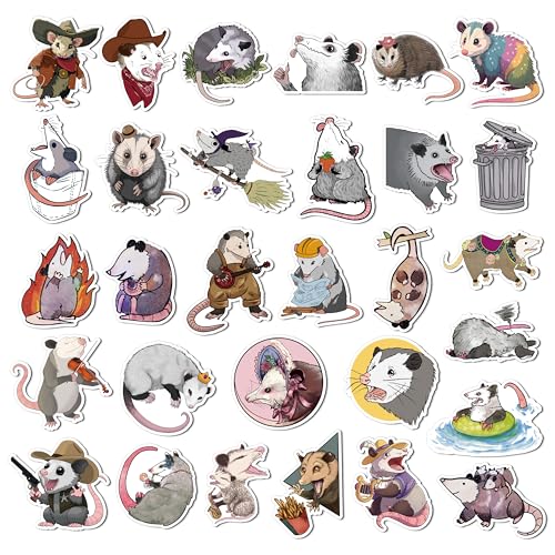 Imanes decorativos de zarigüeya pack 30 unidades
