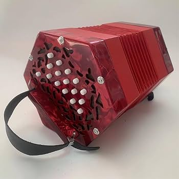 Amazon | 20キー 六角形アコーディオン 大人用 プロフェッショナル