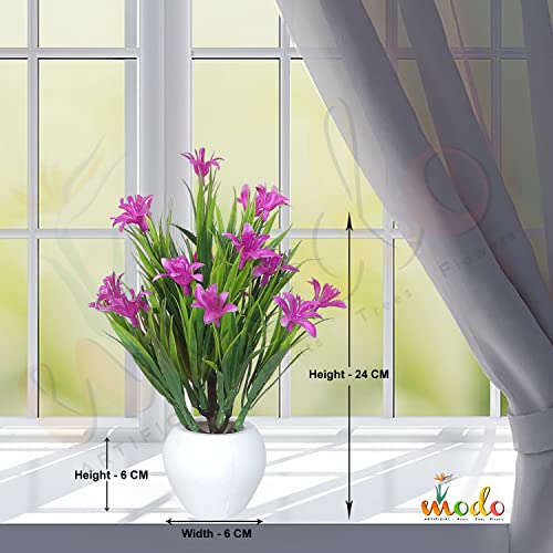 Image of Modo Wheat Grass Artificial Buttercup Flowers Plant with Round Pot for Office,Home,Indoor Decore /Guldasta-21 CM (Purple,1 Piece)
