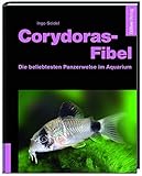  Corydoras-Fibel - Die beliebtesten Panzerwelse im Aquarium
