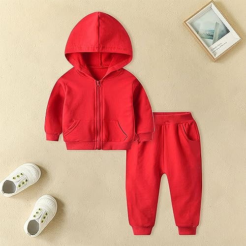 Toddler Girls Boys 2pc Tracksuit Athletic Sweatsuits Sets Zip Up Hooded Sweatshirt Jogger Sweatpants Clothing Sets4