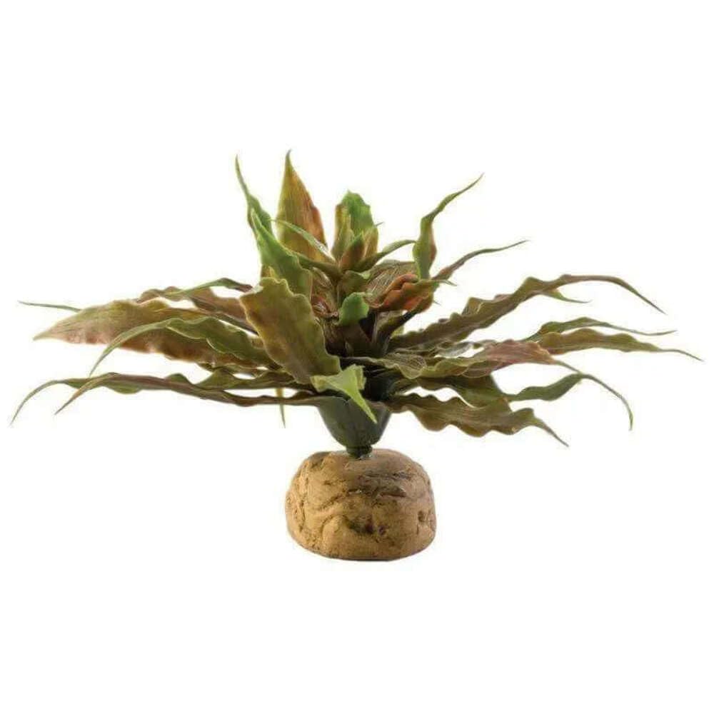 Exo Terra Cactus Estrella