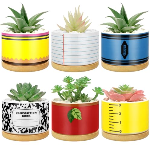 Remerry 6 Pcs Teachers Appreciation Gift Ceramic Succulent Plant Pot