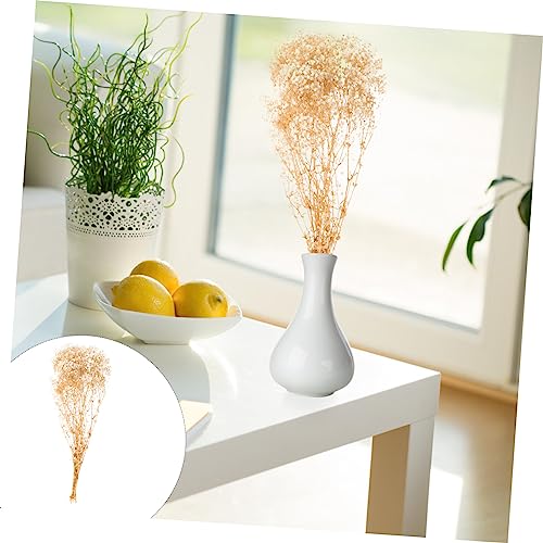 Ramo de flores secas Gypsophila para decoración miniatura 6