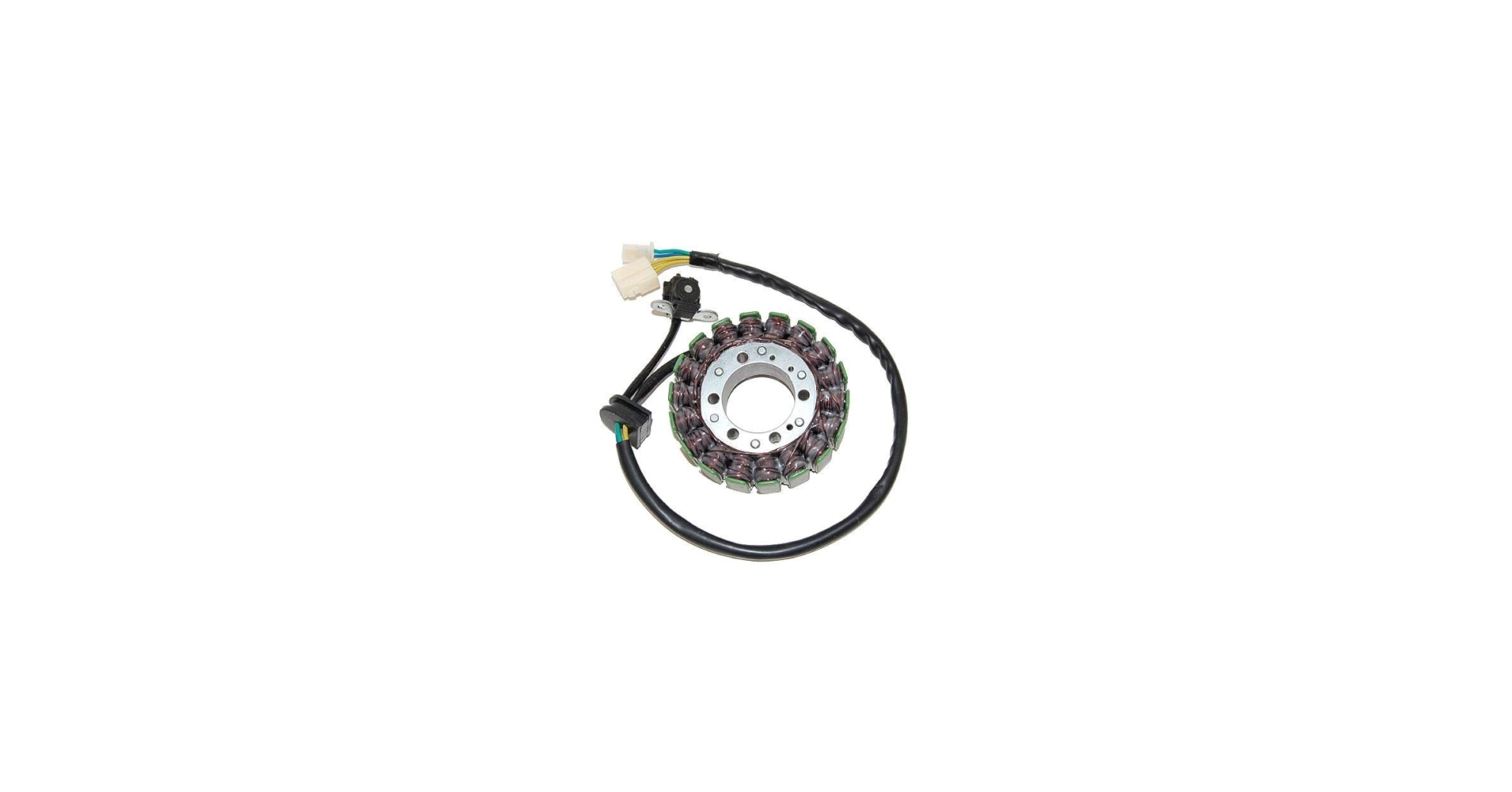 Amazon.com: ElectroSport ESG748 Stator Suzuki GSX1300