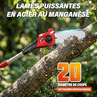 2-en-1 Élagueur sur Perche et Taille Haie Télescopique sans Fil, Batterie Li-ION 20 V 4000mAh,Poignée Principale Orientable,Tête Inclinable,Moteur sans balais de 42 cm, Bandoulière Incluse-TEENO