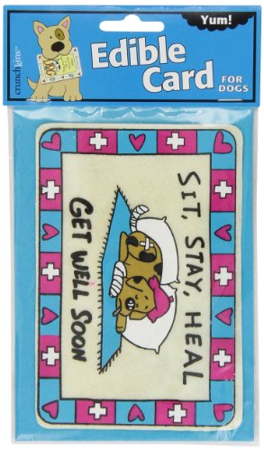 Crunchkins Edible Crunch Card, Get Well