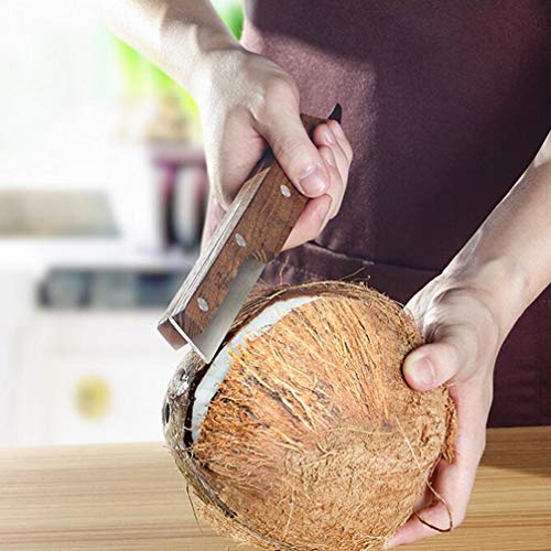 Hemoton 2 peças de removedor de carnes de coco abridor de coco de aço inoxidável abridor de coco ras