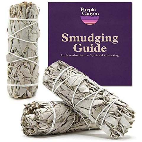 PURPLE CANYON White Sage Bundles - 3 Pack - Sage Smudge Stick for Home Cleansing Incense Healing Meditation and California Smudge Sticks Rituals - 4 Inch Cover
