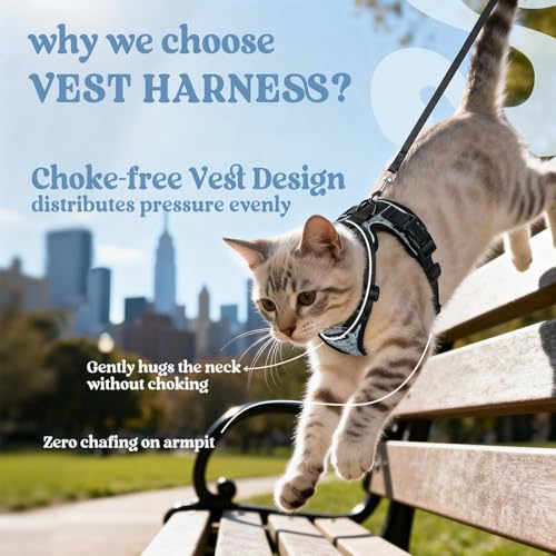 Image of rabbitgoo Cat Harness and Leash Set, Escape Proof Vest, Doodle Gray | Soft Breathable Mesh, Easy Adjustable Fit, Snap Buckles, Sturdy Clip, Reflective Strips, for Small & Average Cats Walks, Xs