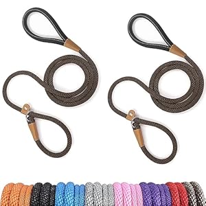 lynxking 6 FT Dog Leash Slip Lead 2 Pack Strong Heavy Duty Braided Dog Training Leash No Pull Training Lead Leashes for Medium Large and Small Dogs