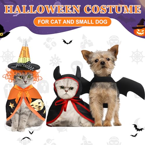 Disfraz Halloween para mascotas pequeño miniatura 4