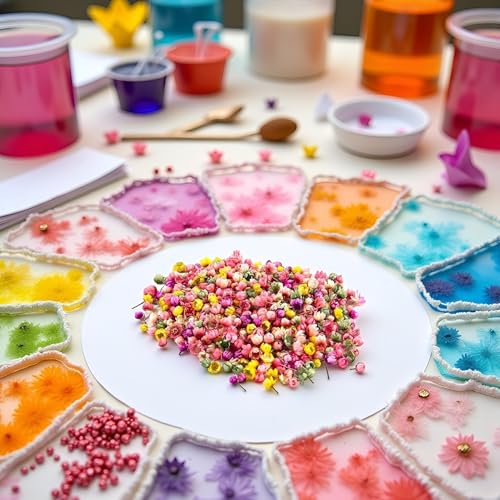 140 piezas flores secas prensadas margaritas para manualidades miniatura 4