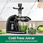Slow Masticating Juicer,Brecious Cold Press Juicers with 2 Speed Modes & Quiet Motor,Juicers Machines Vegetable and Fruit with Reverse Function,Celery Juicer,BPA-Free,Easy to Clean (Black) - Image 2