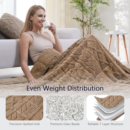 Image of Mr. Sandman Weighted Blanket Queen Size 15 lb, Soft Jacquard Sherpa Weighted Blanket for Adults, Soft Fluffy Heavy Throw Blanket for Relaxing Sleep and Calming Comfort, 60 x 80 Inch, Warm Taupe
