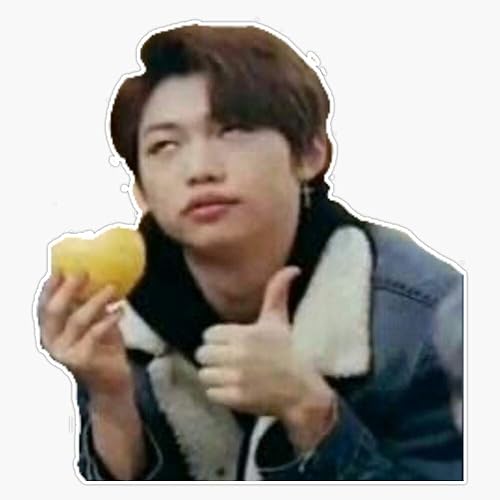 Stray Kids Felix - Adhesivo de vinilo para exteriores, para ventanas, parachoques, computadoras portátiles o manualidades, 5 pulgadas