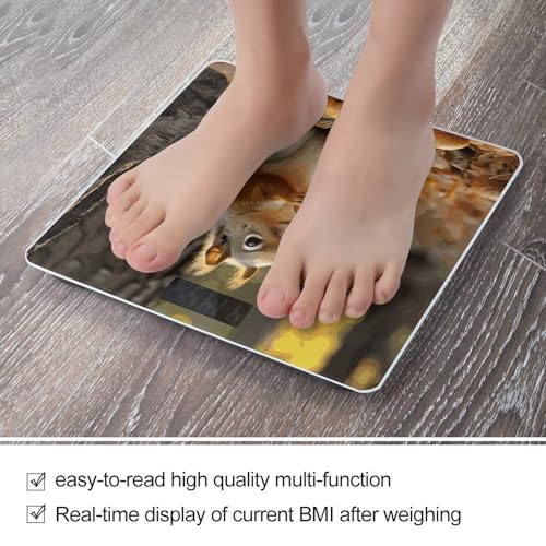 Báscula de baño digital con pantalla LCD y vidrio templado miniatura 5