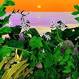 Good Things [Vinyl Maxi-Single]