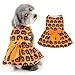 Ranphy Funny Halloween Dog Costume Puppy Dress Holiday Dog Clothes for Small Dogs Girl Doggie Party One Piece with Bowknot Pumpkin Pet Vest Skirt Holiday Cat Outfits, XL