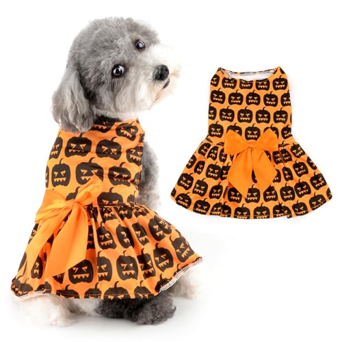 Robe de vacances pour petit chien costume d'Halloween chat avec jupe L