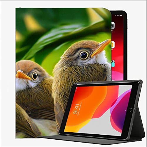 Caso para iPad (Modelo de 9.7 Pulgadas, 2018/2017, 6ª / 5ta generación), Hojas de Hierba de la Rama de Aves # 1 Funda de Concha Delgada para iPad 9.7 Pulgadas
