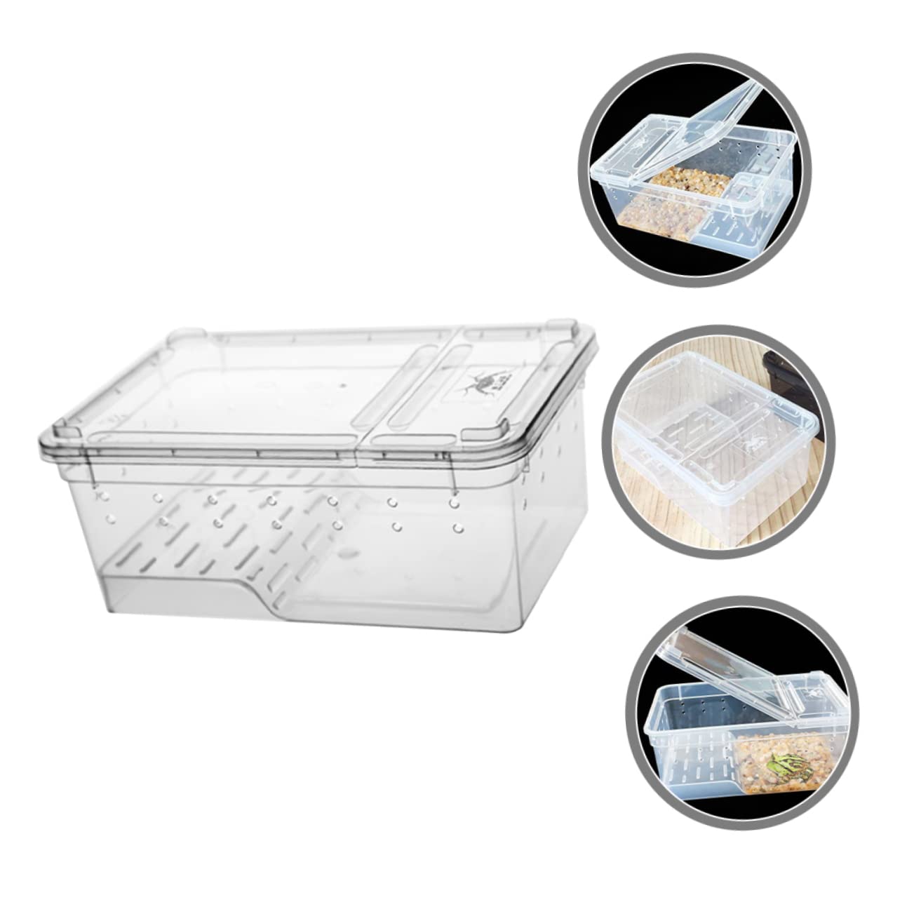 Didiseaon Turtle Tank Aquarium con Piattaforma e Rampa in Plastico | Area Riposo e Alimentazione, Osservazione Quotidiana, per Tartaruga e Testuggine