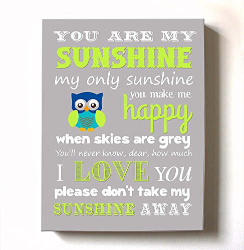 Adorable You are My Sunshine Bedtime Story Rhyme - Woodland Owl Design - Stretched Canvas Nursery Wall Art Decor - Baby Gift idea - Wooden Frame Construction - Ready to Hang 12X16