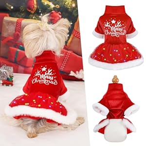 Dog Christmas Dress Light Up Dog Christmas Sweater Merry Christmas Small Dog Christmas Costume Outfit Fall Winter Dog Sweaters for Small Dogs Girl Cat Clothes Pet Apparel